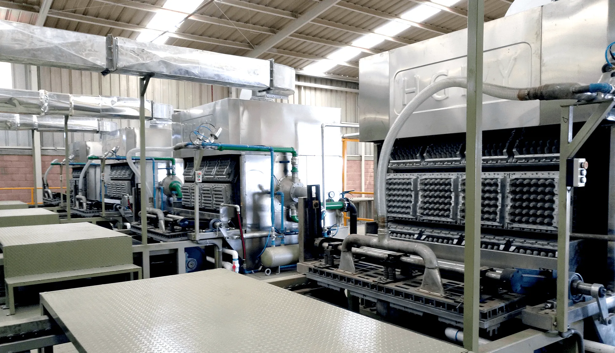 egg flats machine